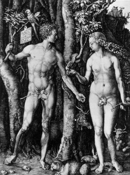 Albrecht Durer - Adam and eve wga - Oil painting reproduction