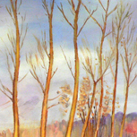 Landscape Farm -  - part 4