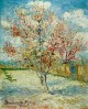 Pink peach tree in blossom reminiscence of mauve 1888 xx kroller muller museum otterlo
