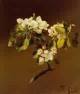 A Spray of Apple Blossoms 1870jpeg
