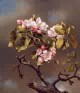 Branch of Apple Blossoms against a Cloudy Sky 1867jpeg