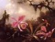 Orchids and Crimson Topaz Hummingbird 1871jpeg