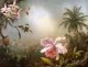 Orchids Nesting Hummingbirds and a Butterfly 1871jpeg