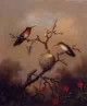 Ruby Throated Hummingbird 1864 1865jpeg