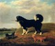 A Spaniel And Two Norfolk Terriers In A Landscape