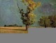 Peyrelebade Landscape 1868