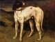 A Dog from Ornans 1856