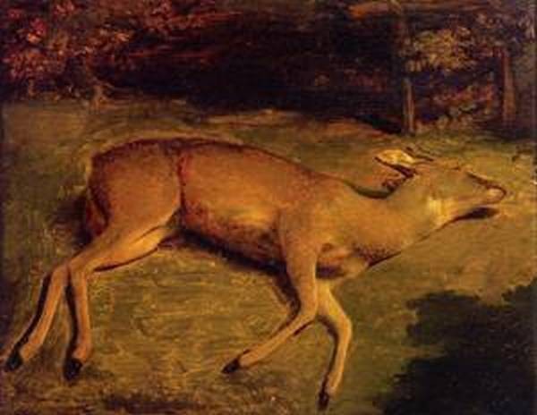 Image result for gustave courbet dead deer