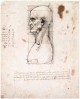 Leonardo da Vinci Male head in profile with proportions