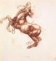 Leonardo da Vinci Rearing horse