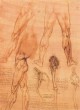Leonardo da Vinci Studies of legs of man and the leg of a horse