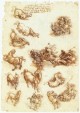 Leonardo da Vinci Study sheet with horses and dragons