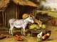 Chickens And Donkeys Feeding Outside A Barn