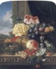 Still Life with Fruit Flowers and a Birds Nest