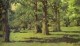 The oak grove at abramtsevo 1883 xx the tretyakov gallery moscow russia