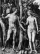 Adam and Eve WGA