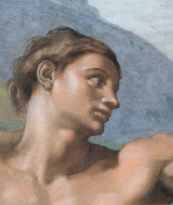 Sistine Chapel Ceiling Genesis The Creation of Adam Adam s face