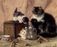 Teatime For Kittens