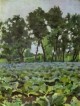 cabbage field with willows 1893 94 XX the tretyakov gallery moscow russia