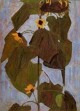 Sunflower I 1908