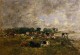 Cows in the Fields 1892 1896