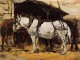 Harnessed Horses 1888 1895