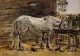White Horse at the Feeding Trough 1885 1890