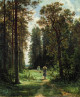 path in a forest 1880 XX the russian museum st petersburg russia