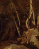 A Civita Castellana, Rock with Trees, 1825-1828