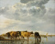 Cows in the water xx museum of fine arts budapest