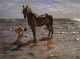 bathing of a horse 1905 XX the russian museum st petersburg russia