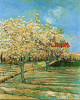 Orchard in blossom 1888 xx private collection